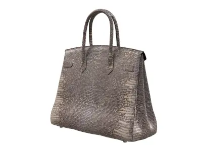 Hermes Birkin Bag Snake Leather Low-poly 3D model