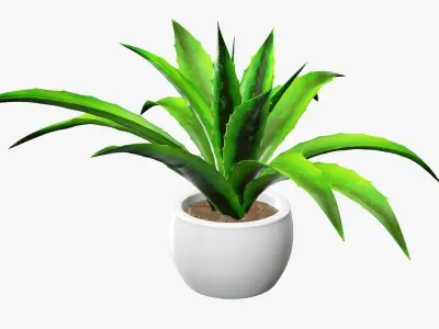 Potted plant decorative 04 3D model
