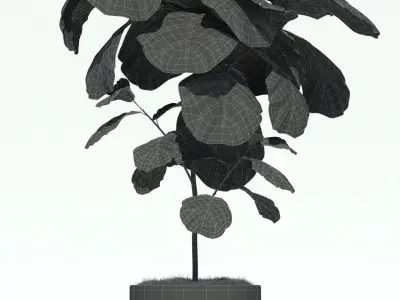 Plants collection 69 Modernica pots 3D model