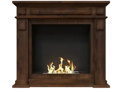 Bio Fireplace Free Standing Interior Design Low-poly 3D model