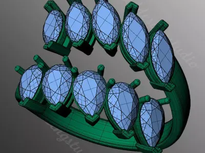 Ring ri243 3D print model