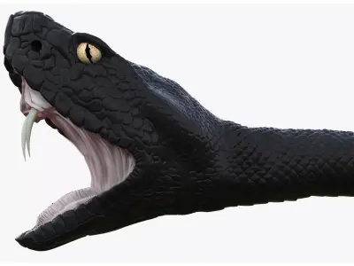 Realistic Black Snake 3D model