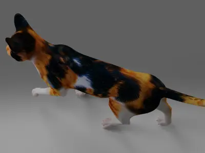 Calico Cat Rigged and Animated V4 in Blender Low-poly 3D model