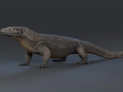 KOMODO DRAGON Low-poly 3D model