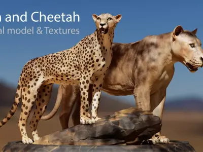 Lion and Cheetah - Digital Model and Textures Low-poly 3D model
