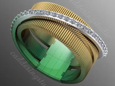 Ring bi67 3D print model