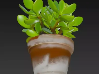 jade plant pot 3D model