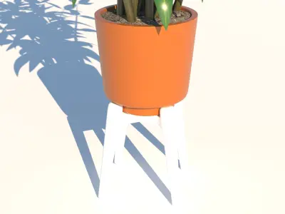 Dracaena and Pot  Low-poly 3D model