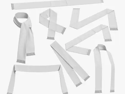 Football Fan Scarf Collection 3D model