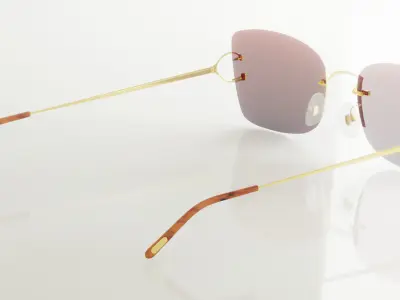 Luxury Fashion Sunglasses 3D model