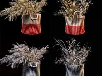 Field plants set 3D model