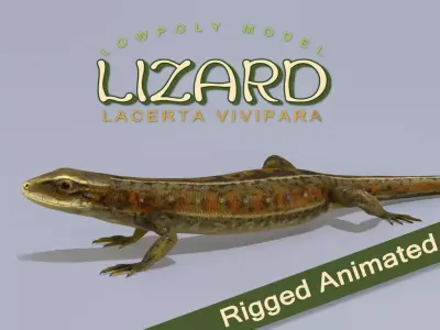 Lizard Lacerta Vivipara Low-poly 3D model