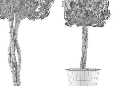 Plants Collection 72 3D model
