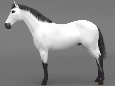 White Horse 4K 3D model