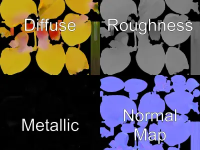 Orchid Flower Model Pack with PBR Textures Low-poly 3D model purchase