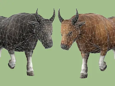 COW ANIMATED 4 COLORS 2 Low-poly 3D model
