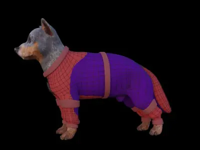 spider puppy 3d model Low-poly 3D model