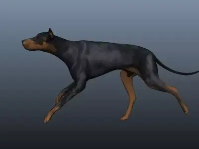Dog 3D model rig Low-poly 3D model