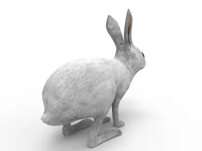 3D Rabbit low poly mode Low-poly 3D model