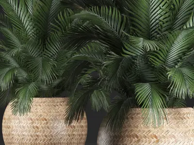 Decorative palm tree in a pot 3D model