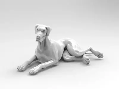 dog 1 3D model