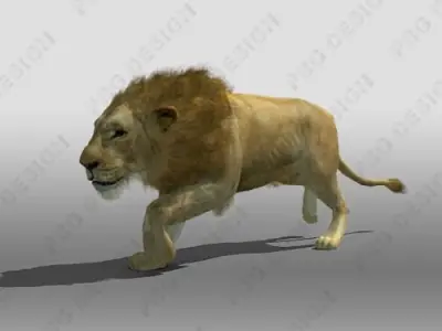 Lion Animated 3D model