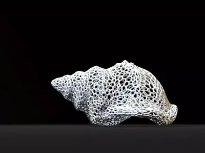 Seashell  3D print model