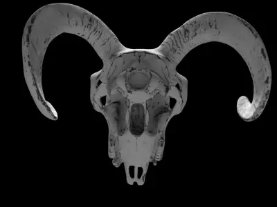 Ram Skull 3D model with six texture maps 3D model