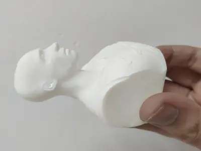 Kobe Bryant 3D Printable 2 3D print model