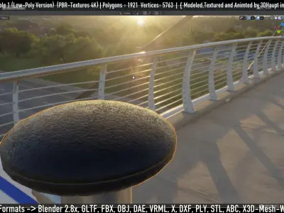 Animated Flag with Pole -1- Low-Poly Version Low-poly 3D model