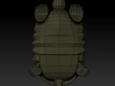 3D TURTLE - LOW POLY tortoise Low-poly 3D model