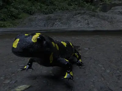 Salamander 3D model spotted Low-poly 3D model