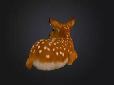 White Tailed Deer Spotted Fawn Realistic 3D model