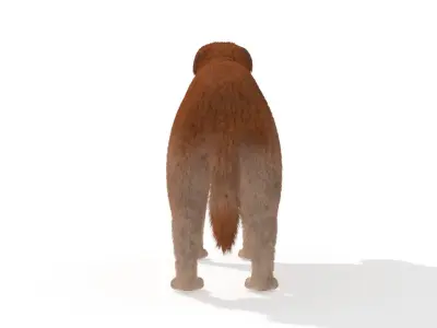 Labrador Dog Animal Pet 3D model