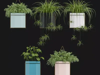 Modern Potting Plant 3D model