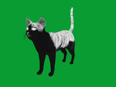 Domestic Shorthair Cat Low-poly 3D model