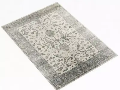 Restoration Hardware Hana rug 3D model