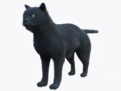 British CAT Low-poly 3D model
