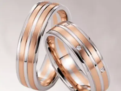Wedding rings 076 3D print model