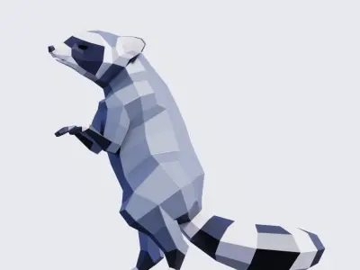 Raccoon Low-poly 3D model get