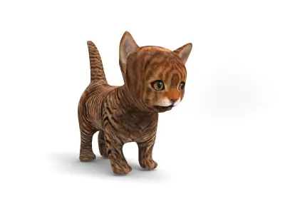Wild Cute cartoon Cat Rigged 3D  Low-poly 3D model
