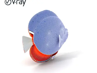 Vibrant Tropical Fish Model Pack for Aquatic Scenes Low-poly 3D model