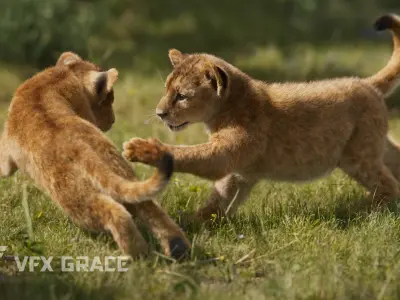 Lion Cub Animated VFX Grace 3D model