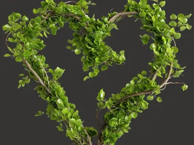 Ivy Heartshape Plant 3D model