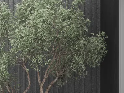 INDOOR PLANT SET 0- tree and bush 3D model