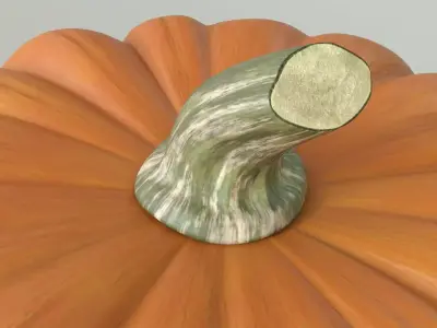 Pumpkin Low-poly 3D model
