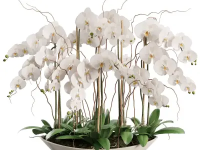 Flower In Vase  23 3D model