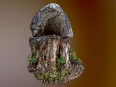 Stamp and stone photogrammetry 3D model