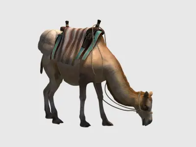 camel luggage animation  3D model