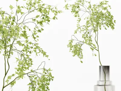 Collection Indoor Plants 017 3D model